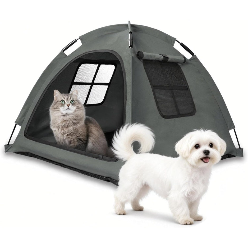 197fb3620a085a6dd9725586e5e02fc7